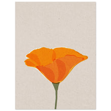 Load image into Gallery viewer, Californian Poppy