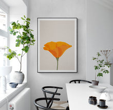 Load image into Gallery viewer, Californian Poppy