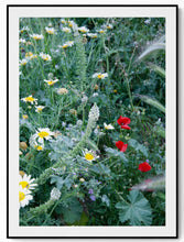 Load image into Gallery viewer, Monemvasia