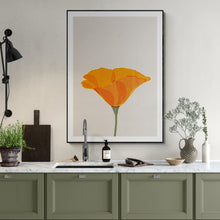 Load image into Gallery viewer, Californian Poppy