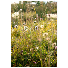 Load image into Gallery viewer, Öland