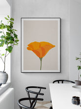 Load image into Gallery viewer, Californian Poppy