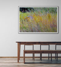Load image into Gallery viewer, Wildflower Melody