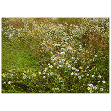 Load image into Gallery viewer, June