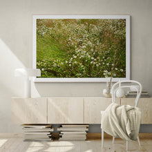Load image into Gallery viewer, June