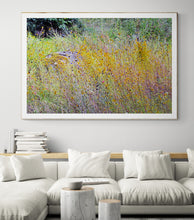 Load image into Gallery viewer, Wildflower Melody