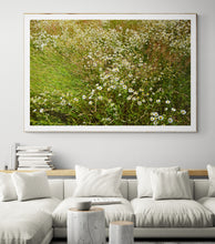 Load image into Gallery viewer, June
