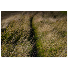 Load image into Gallery viewer, Meadow