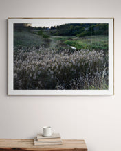 Load image into Gallery viewer, Reed in Green