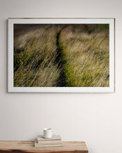 Load image into Gallery viewer, Meadow