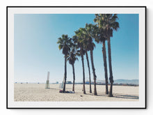 Load image into Gallery viewer, Street photography — palm trees along Santa Monica coastline against a California sky — NEAT Stockholm