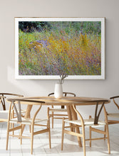Load image into Gallery viewer, Wildflower Melody