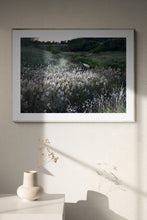 Load image into Gallery viewer, Reed in Green