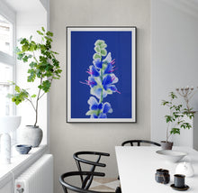 Load image into Gallery viewer, Blueweed
