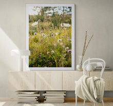 Load image into Gallery viewer, Öland
