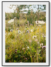 Load image into Gallery viewer, Öland
