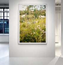 Load image into Gallery viewer, Öland
