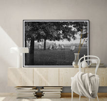 Load image into Gallery viewer, Hyde Park Sun Chairs
