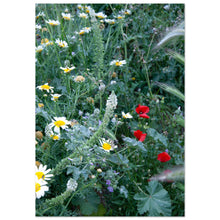 Load image into Gallery viewer, Monemvasia

