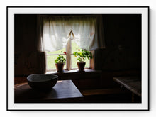 Load image into Gallery viewer, Fågelsjö
