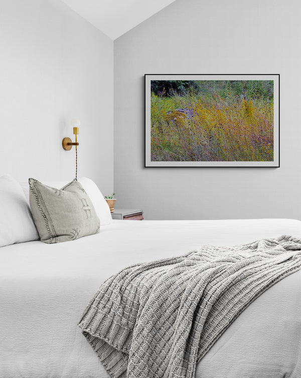 Wildflower Melody — room view