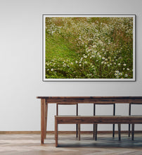Load image into Gallery viewer, June
