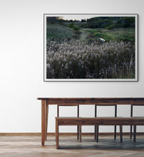 Load image into Gallery viewer, Reed in Green
