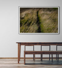 Load image into Gallery viewer, Meadow

