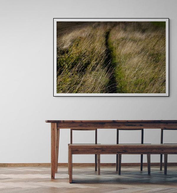 Meadow — room view