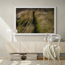 Load image into Gallery viewer, Meadow
