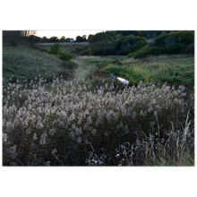 Load image into Gallery viewer, Reed in Green
