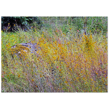 Load image into Gallery viewer, Wildflower Melody
