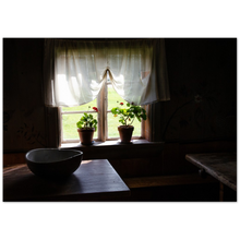 Load image into Gallery viewer, Fågelsjö
