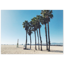 Load image into Gallery viewer, Santa Monica Palm Trees
