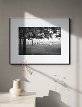 Load image into Gallery viewer, Hyde Park Sun Chairs
